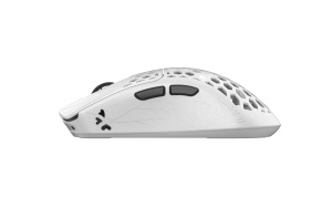 Akitsu_White_10032025_03