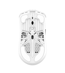 Arbiter_Studio_AKITSU_Carbon_Fiber_8K_Wireless_Gaming_Mouse_bottombig_d5d961a3-8436-4bca-a233-2d25267968ca
