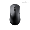 TenZ_large